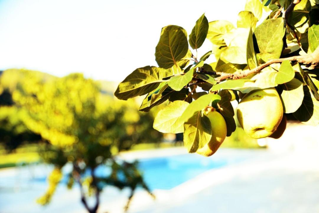 Pir Efes Konaklari Izmir Bagian luar foto