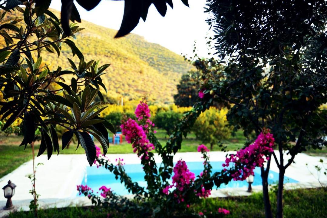 Pir Efes Konaklari Izmir Bagian luar foto
