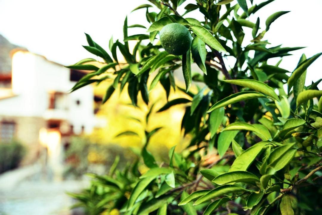 Pir Efes Konaklari Izmir Bagian luar foto