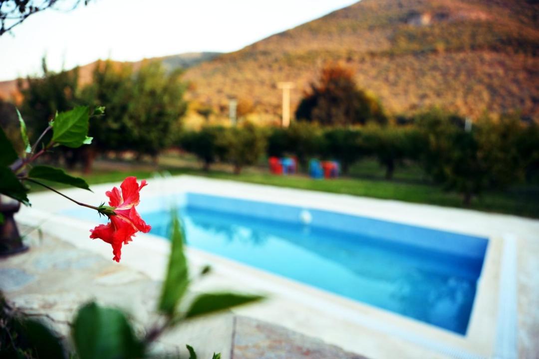 Pir Efes Konaklari Izmir Bagian luar foto